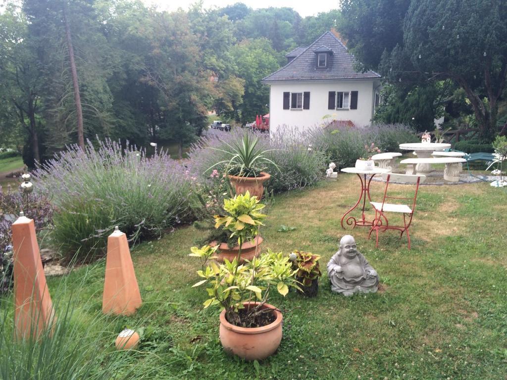 Traumparadies Bad Sulza Exterior photo